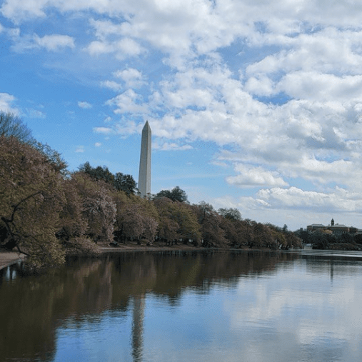 Upcoming Opportunities for Civic Engagement